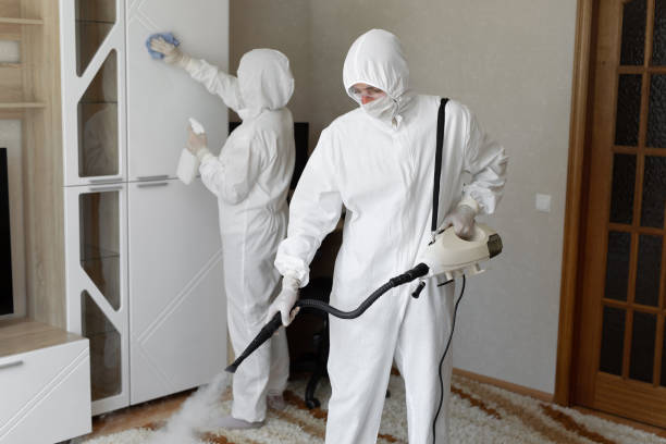 Best Asbestos and Lead Testing During Mold Inspection  in Manistee, MI